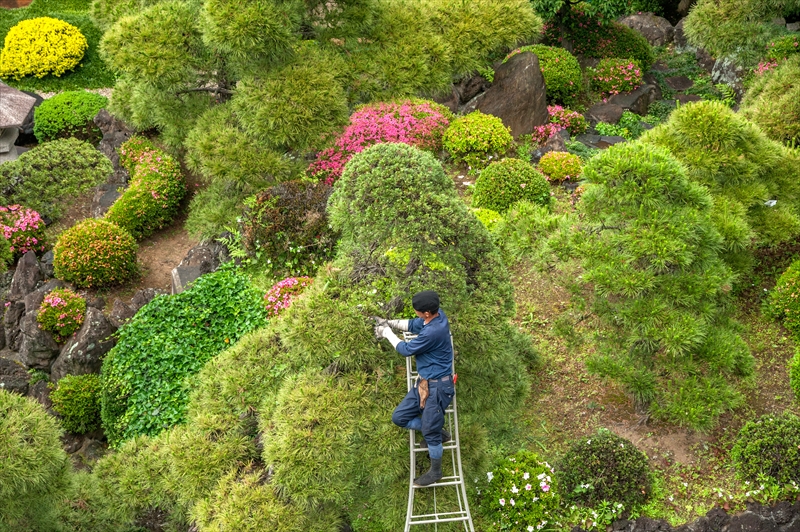 お庭のリフォーム・メンテナンス