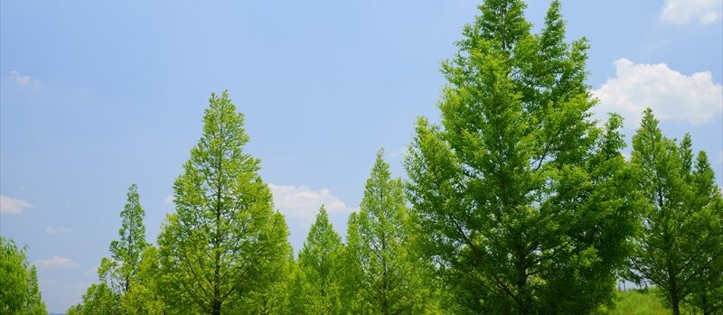 企業理念