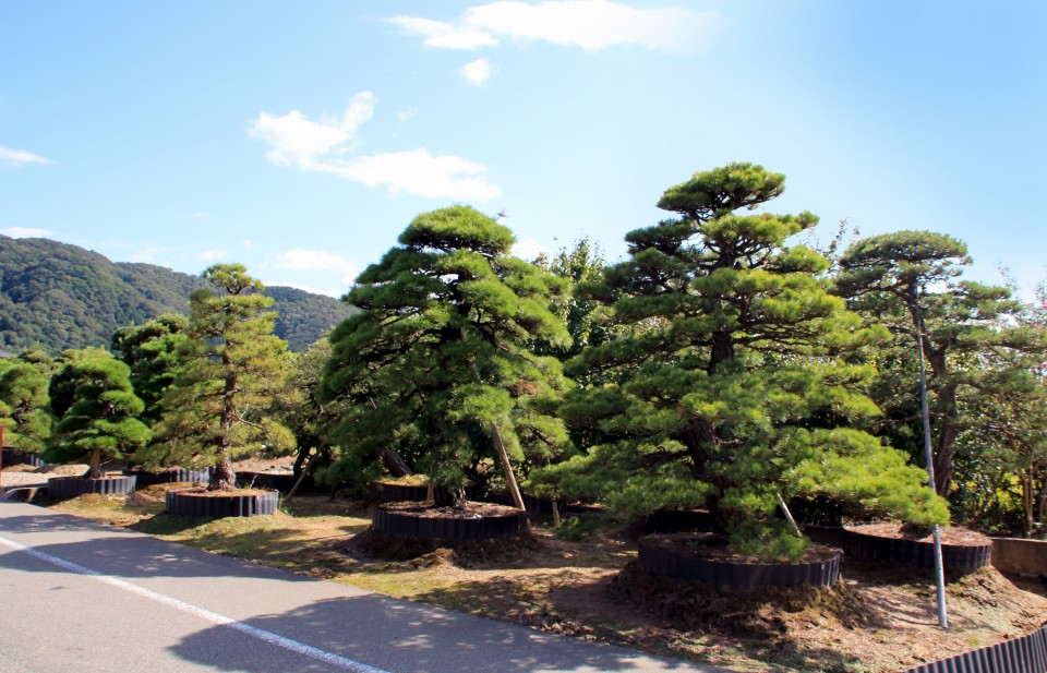 造園工事について